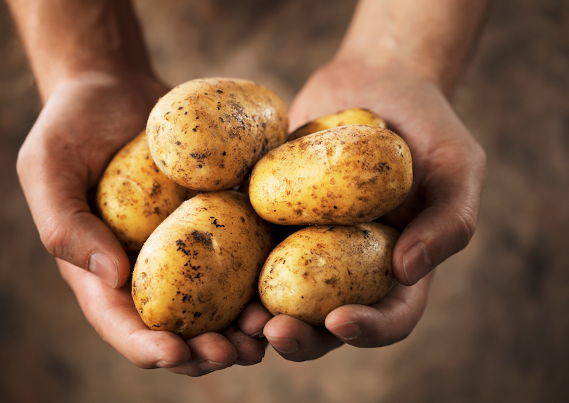 Fancy Growing Your Own Potatoes For Christmas?