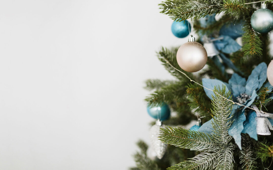 Christmas Tree Care Guide