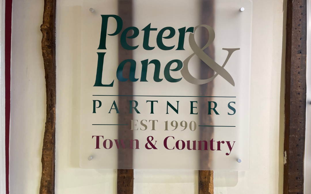 Q&A with Peter Lane & Partners